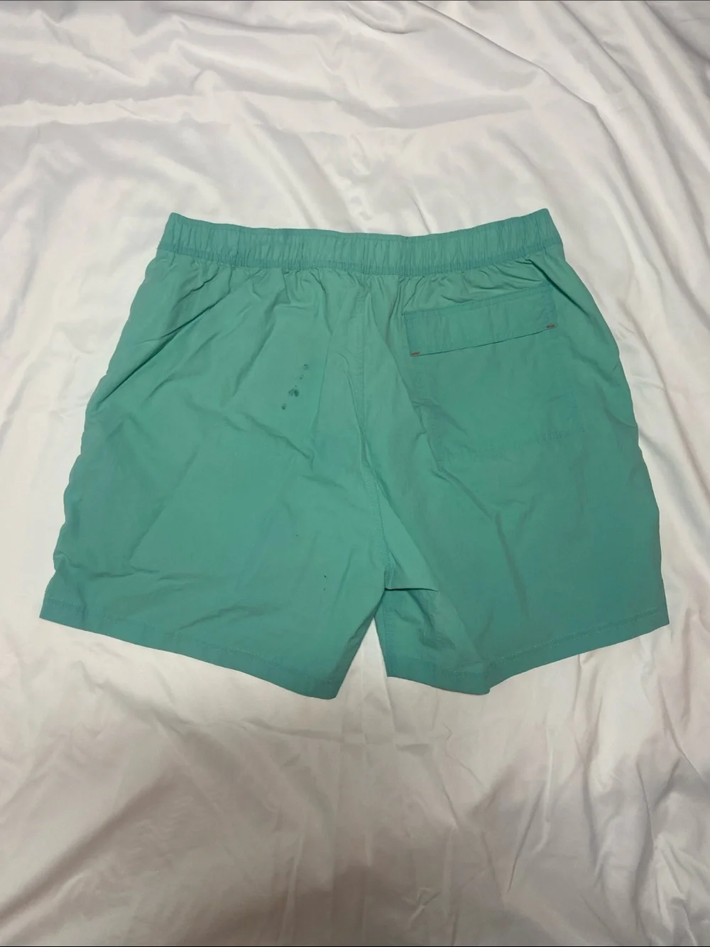 Saxx Mint Green Swim Trunks with Orange Drawstring